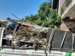 Recycling Services for Junk in Mount Hore, WI